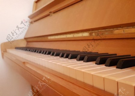 钢琴琴键