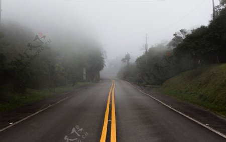 迷雾公路
