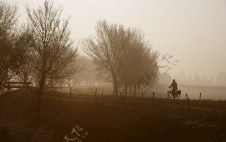 雾骑单车的男子堤