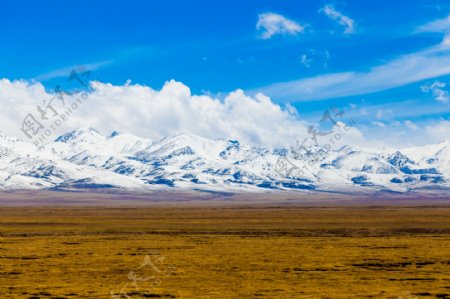 新疆雪山风光