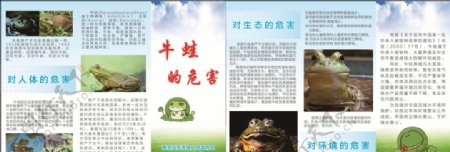 牛蛙的危害环境保护折页三折
