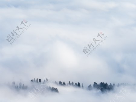 云山雾绕