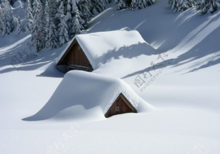 雪景