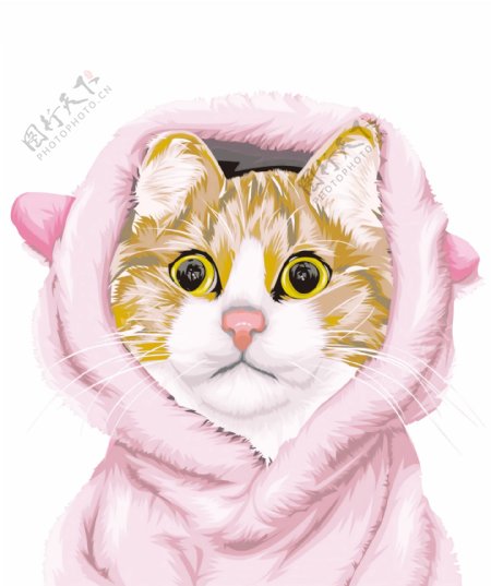 粉帽子猫