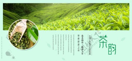 浅绿色清新春茶节茶叶海报