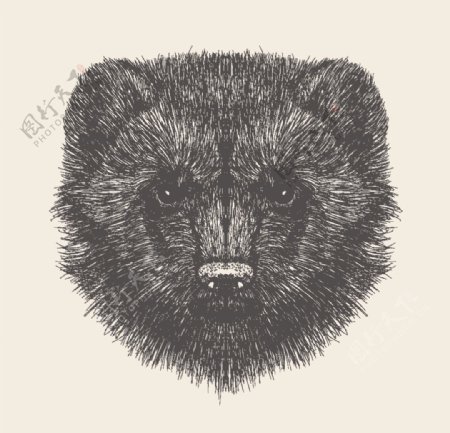 动物铅笔画