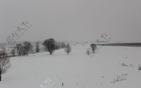 雪景冬天