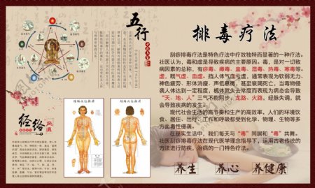 中医文化理疗排毒疗法