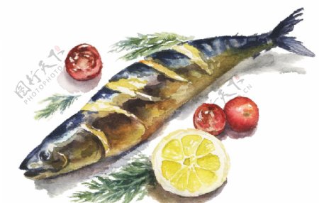 海鲜秋刀鱼绘画