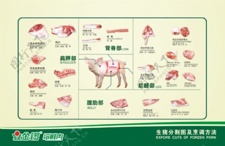 金锣猪肉分割图