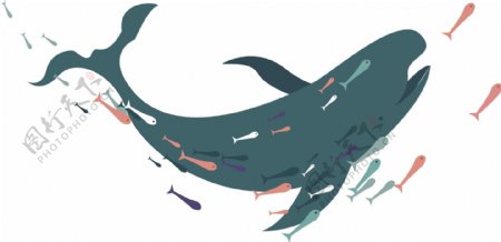 矢量海洋生物鲸鱼素材