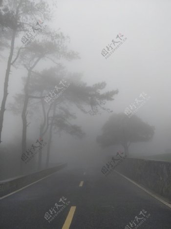 莫干山雾景