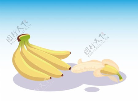 水果系列矢量插画之香蕉