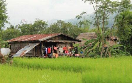 老挝旅游田园自然风景