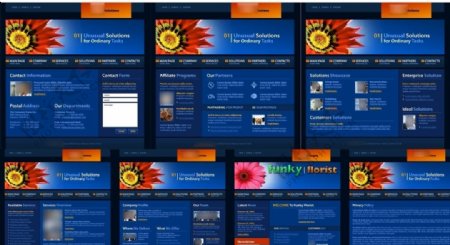 PRO蓝色解决方案网站模板