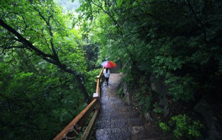 枣庄抱犊崮国家森林公园