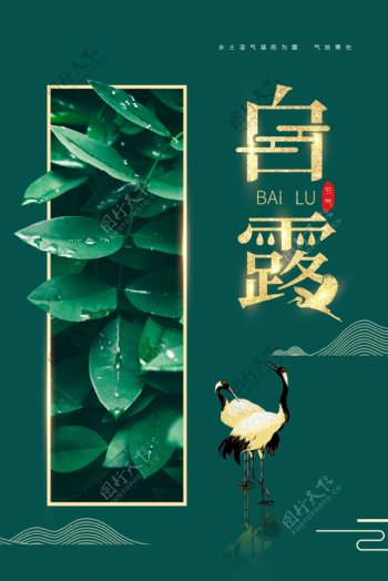 白露传统节日活动宣传海报素材