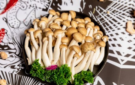 蘑菇菌类餐饮美食配菜