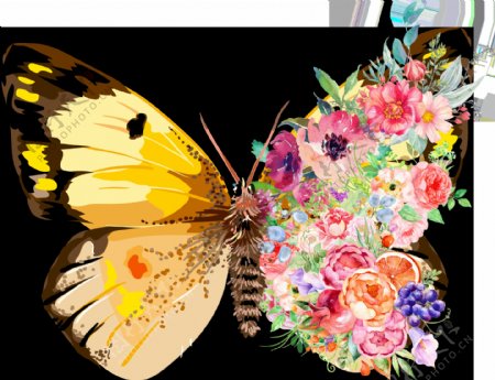 创意手绘花卉蝴蝶组合免扣素材