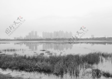 西安灞河风光图片