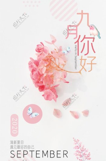 清新粉色花朵九月你好海报