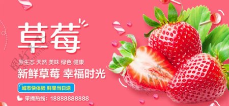 蔬果海报草莓