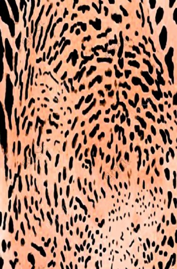 豹子皮背景图