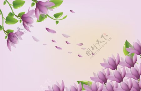 百合花紫色百合郁金香装饰画