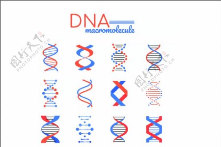 基因细胞图标生物科技LO