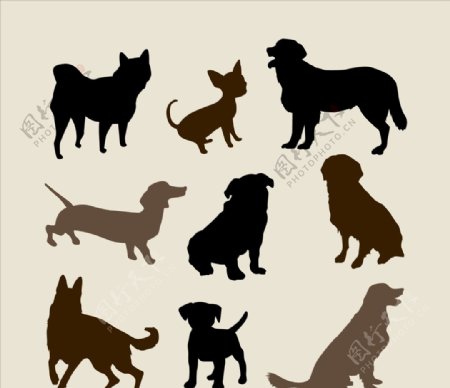 狗品种规格剪影图片