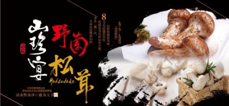 松茸蘑菇野山菌鲜蘑菇海报图片