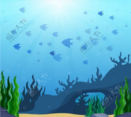 海底世界鱼群风景图片