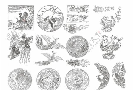 中国古代传统凤凰手绘矢量图案图片