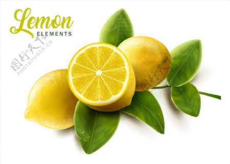 新鲜带叶柠檬图片