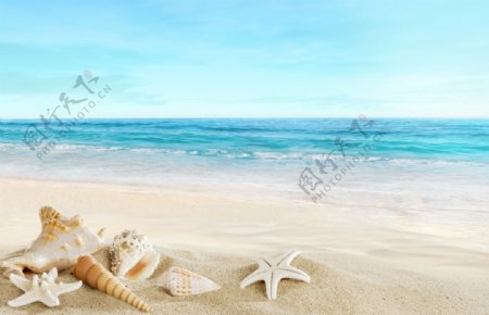 海浪波浪夏季沙滩背景海报素材图片