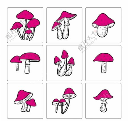 线稿蘑菇图片