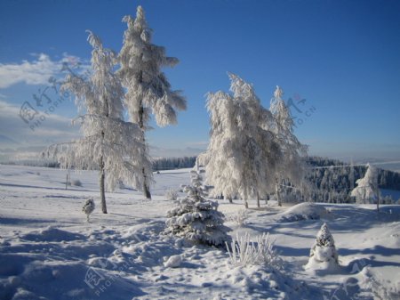 雪地寒冷风景背景海报素材图片