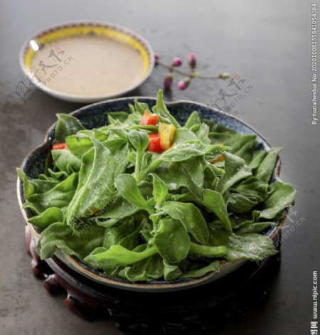 冰叶蔬菜食材背景海报素材图片