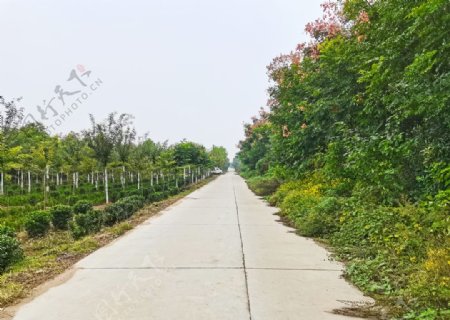 乡村道路风景图片