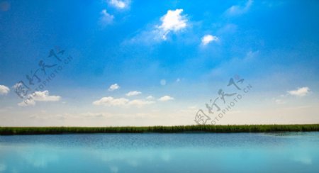 湿地背景图片