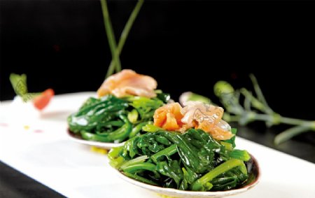 菠菜毛蛤图片