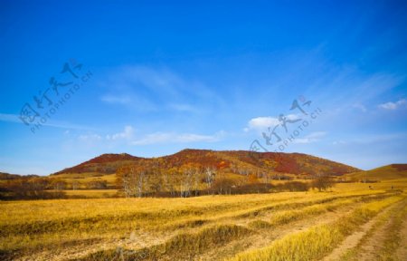 深秋时节的草原风光图片