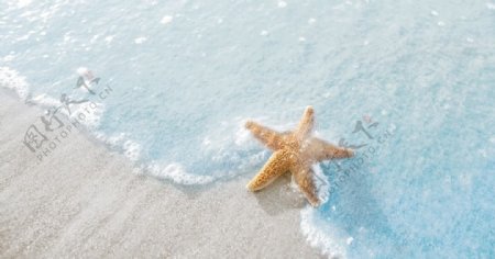 浅蓝沙滩治愈海星图片