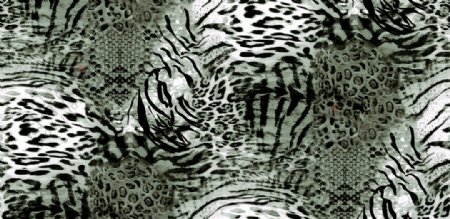 豹纹图片