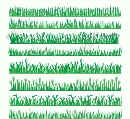 绿色草丛设计图片