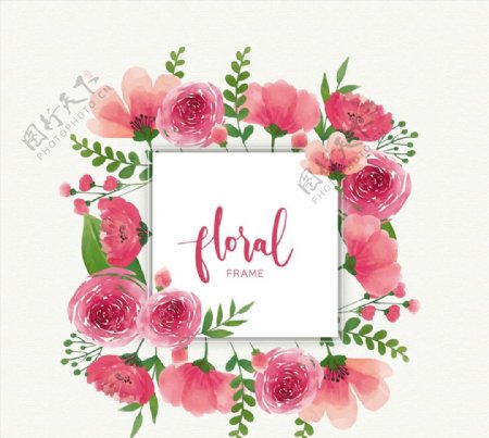 粉色玫瑰花框架图片