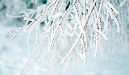 24节气立冬图片