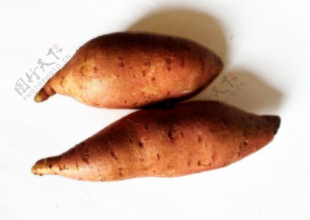 农家红薯图片