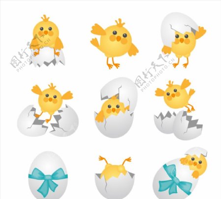 卡通雏鸡和蛋壳图片