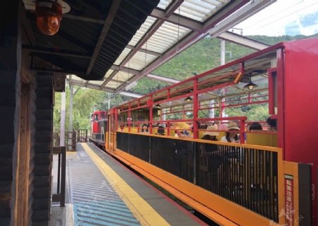 日本的电车浏览车观光车图片